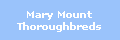 Mary Mount
Thoroughbreds